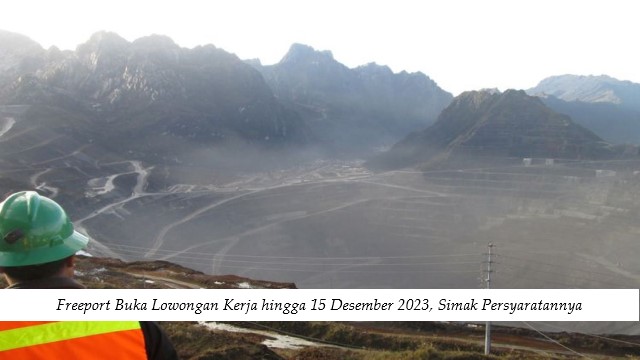 Freeport Buka Lowongan Kerja hingga 15 Desember 2023, Simak Persyaratannya